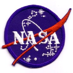 NASA vector Type V patch