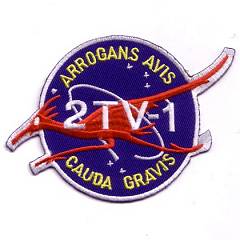 2TV-1 replica patch