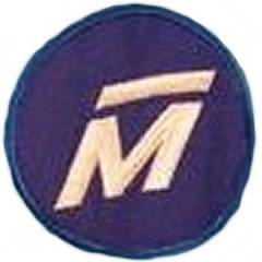 Martin logo patch